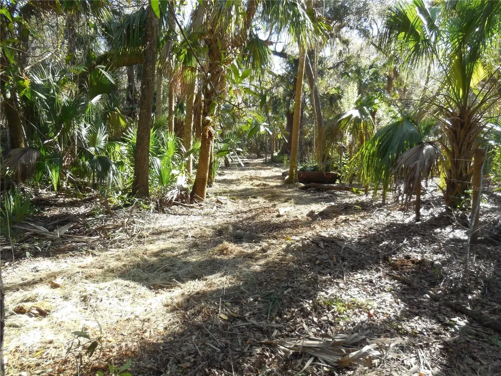 152 Tall Oak Trail Zolfo Springs FL 33890