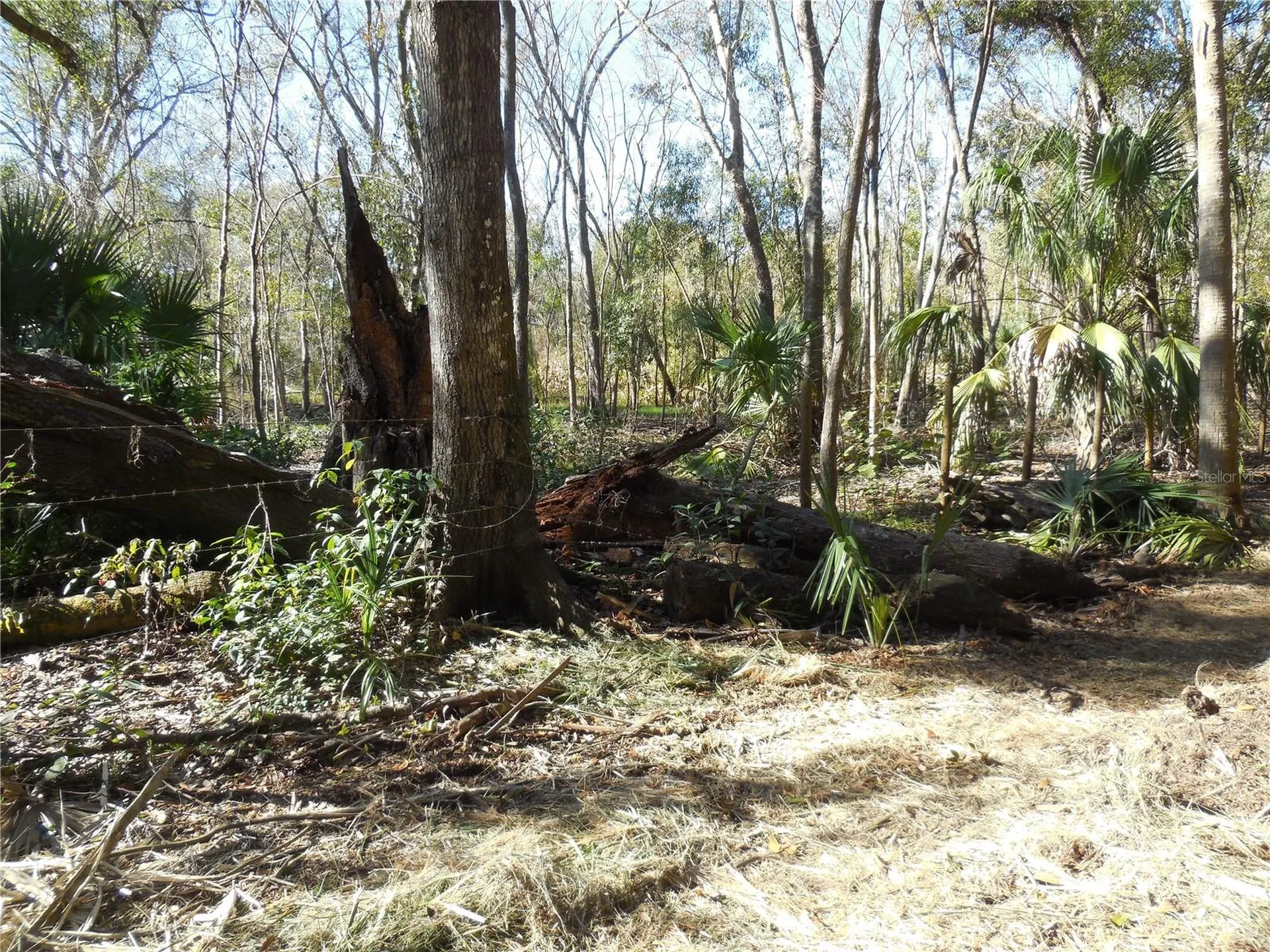 152 Tall Oak Trail Zolfo Springs FL 33890