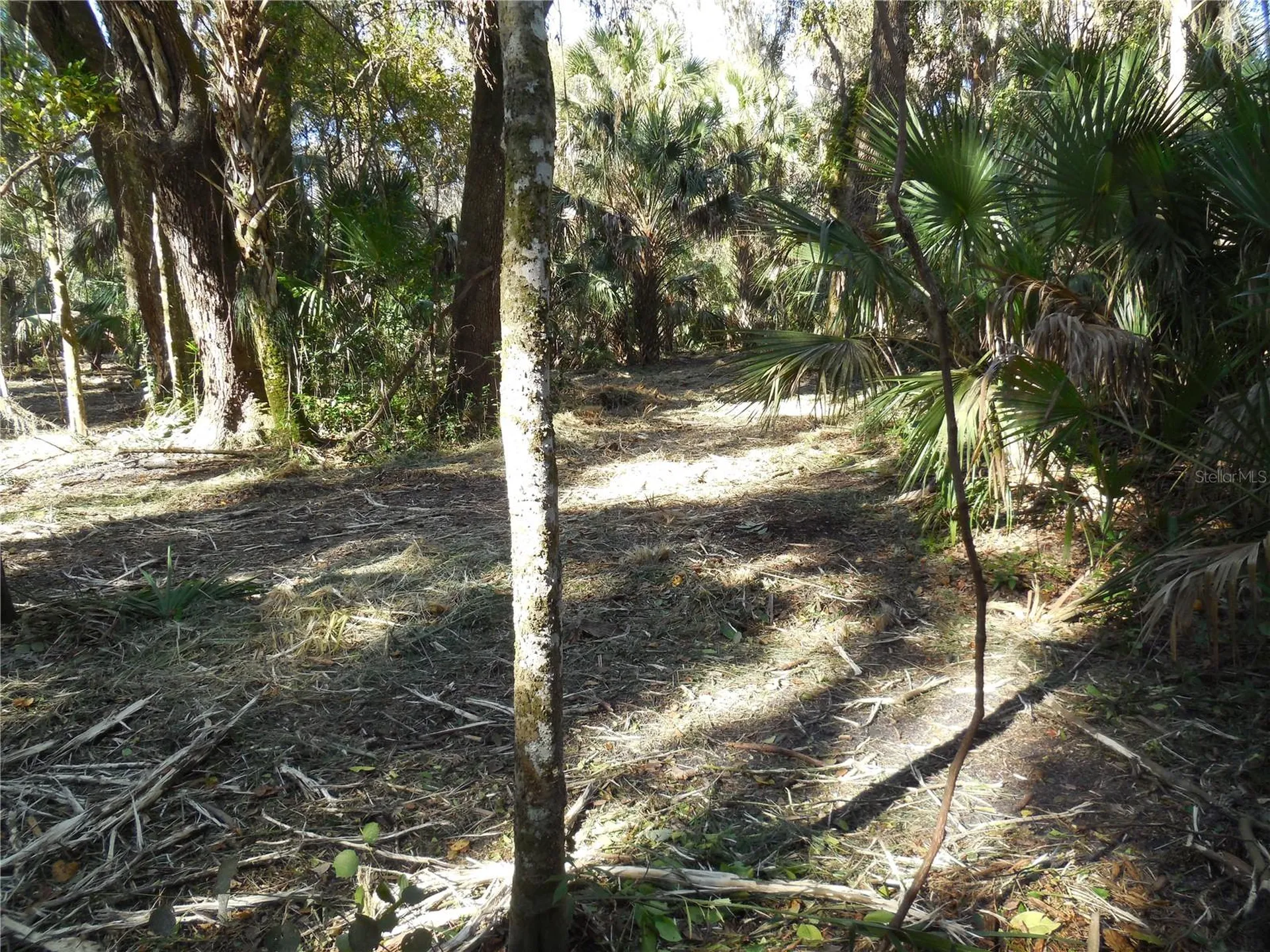 152 Tall Oak Trail Zolfo Springs FL 33890