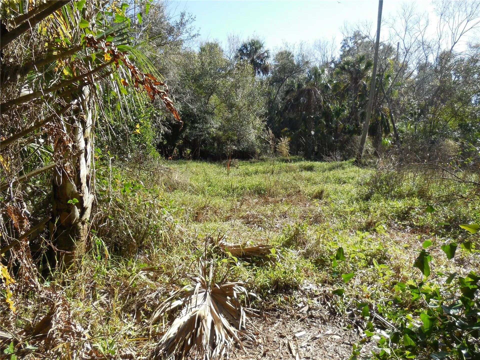152 Tall Oak Trail Zolfo Springs FL 33890