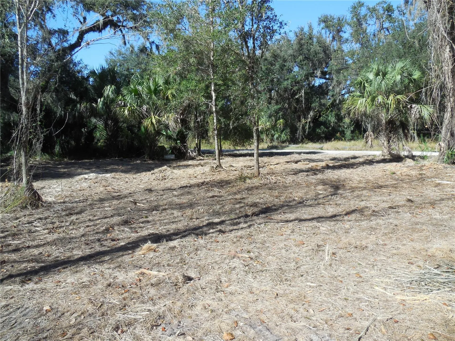 152 Tall Oak Trail Zolfo Springs FL 33890