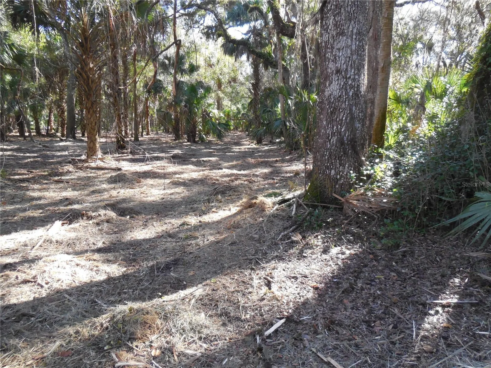 152 Tall Oak Trail Zolfo Springs FL 33890