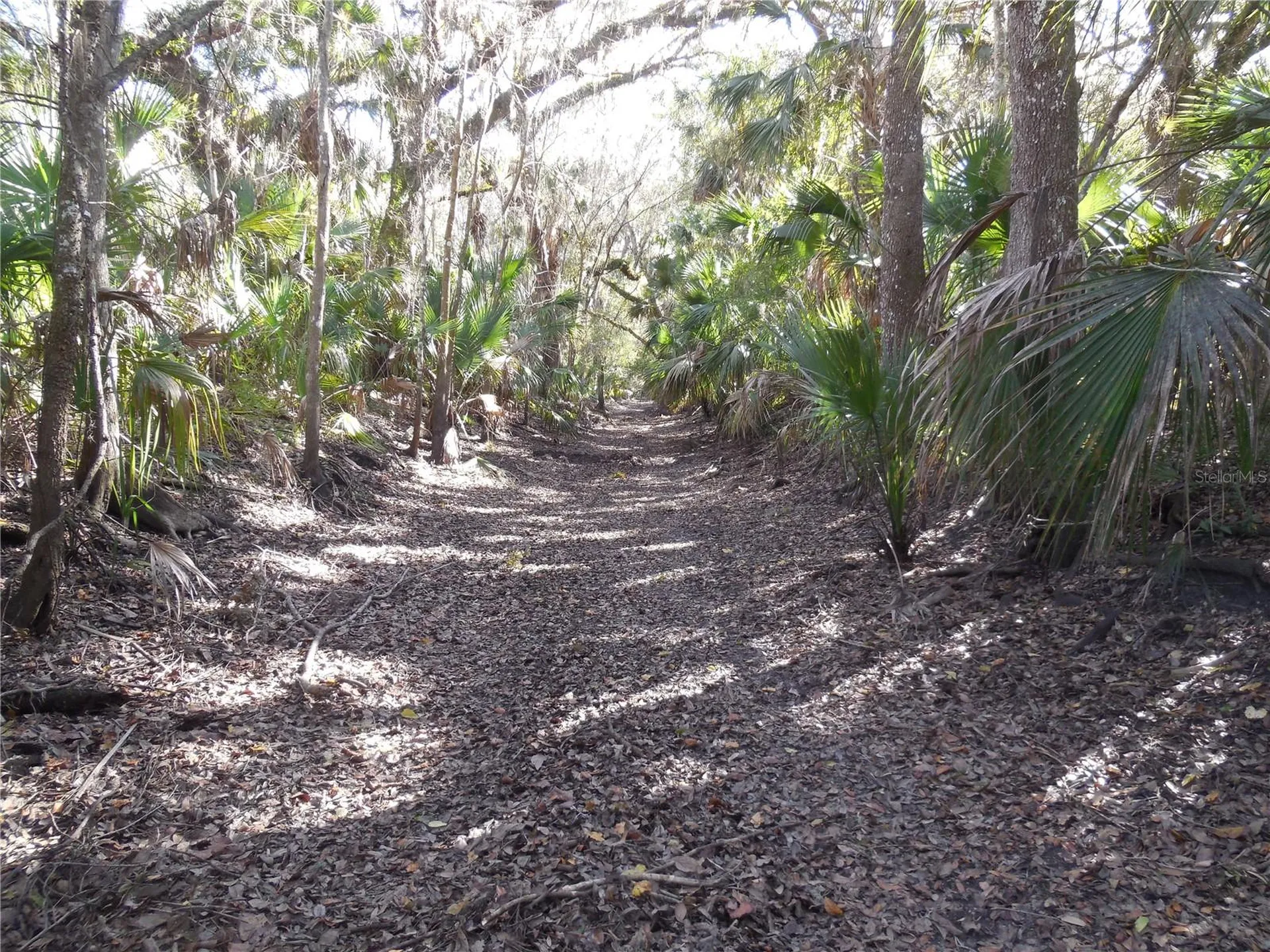 152 Tall Oak Trail Zolfo Springs FL 33890