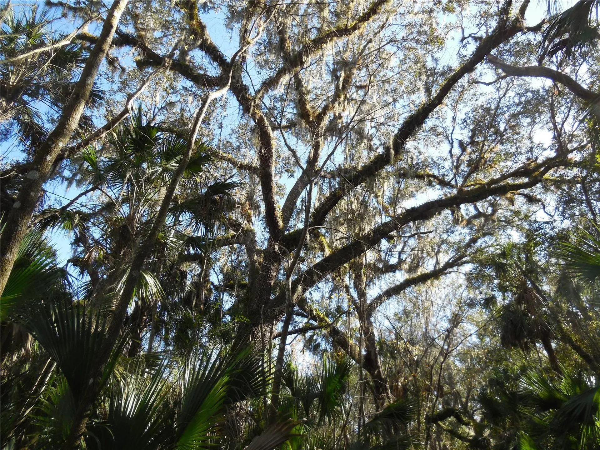152 Tall Oak Trail Zolfo Springs FL 33890