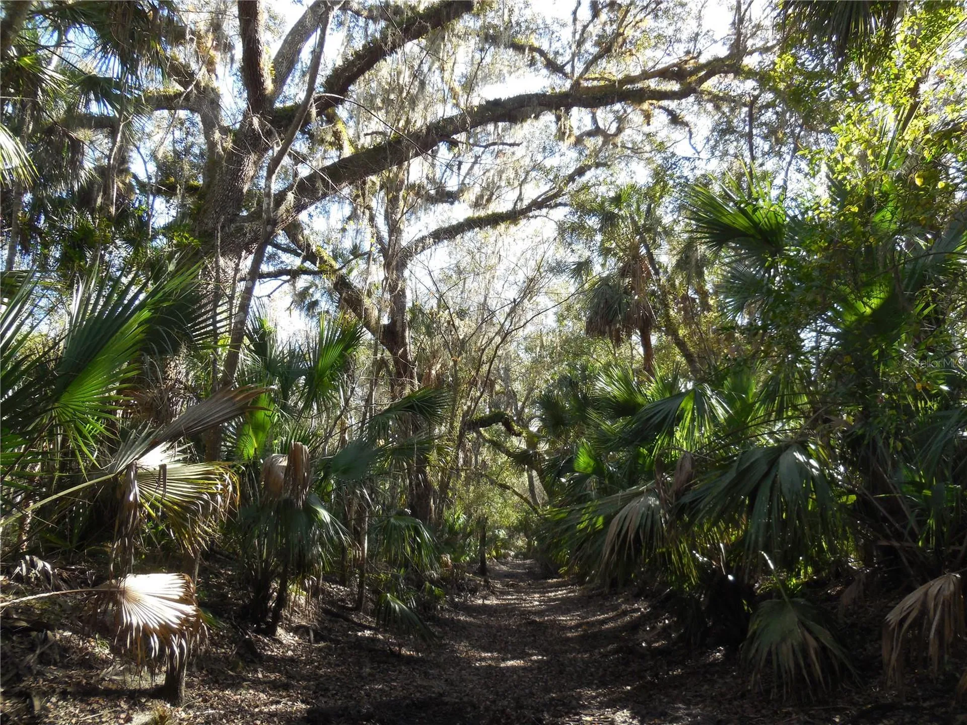 152 Tall Oak Trail Zolfo Springs FL 33890