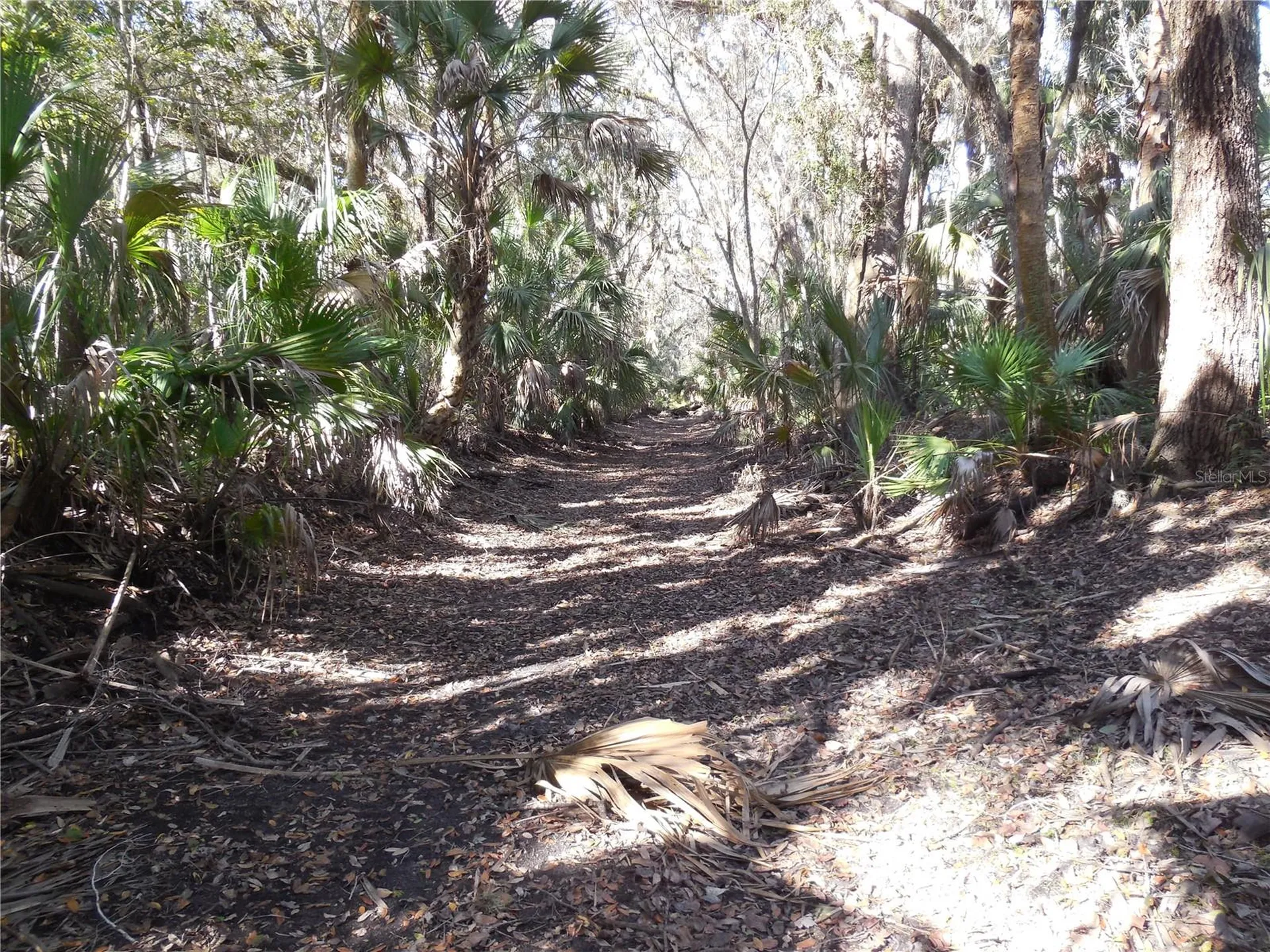 152 Tall Oak Trail Zolfo Springs FL 33890