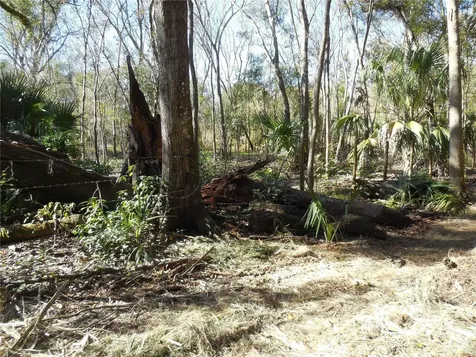 152 Tall Oak Trail Zolfo Springs FL 33890