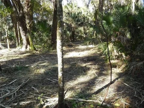 152 Tall Oak Trail Zolfo Springs FL 33890