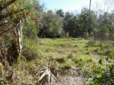 152 Tall Oak Trail Zolfo Springs FL 33890