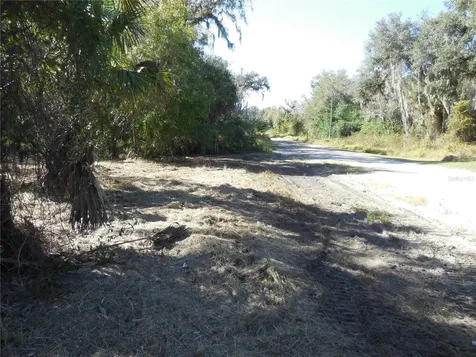 152 Tall Oak Trail Zolfo Springs FL 33890
