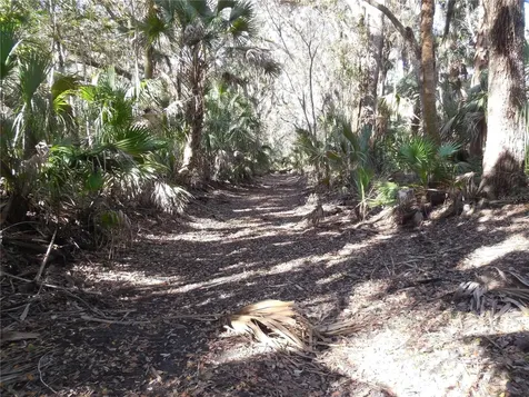 152 Tall Oak Trail Zolfo Springs FL 33890