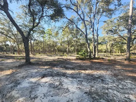 Tbd NE 122nd Court Bronson FL 32621