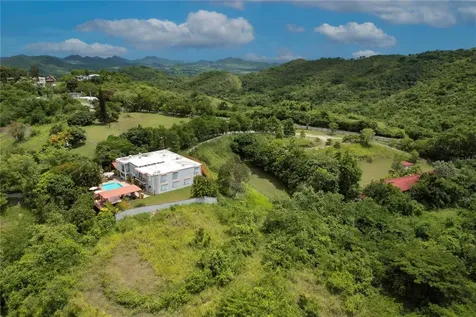 150 Carr Villalba PR 00766