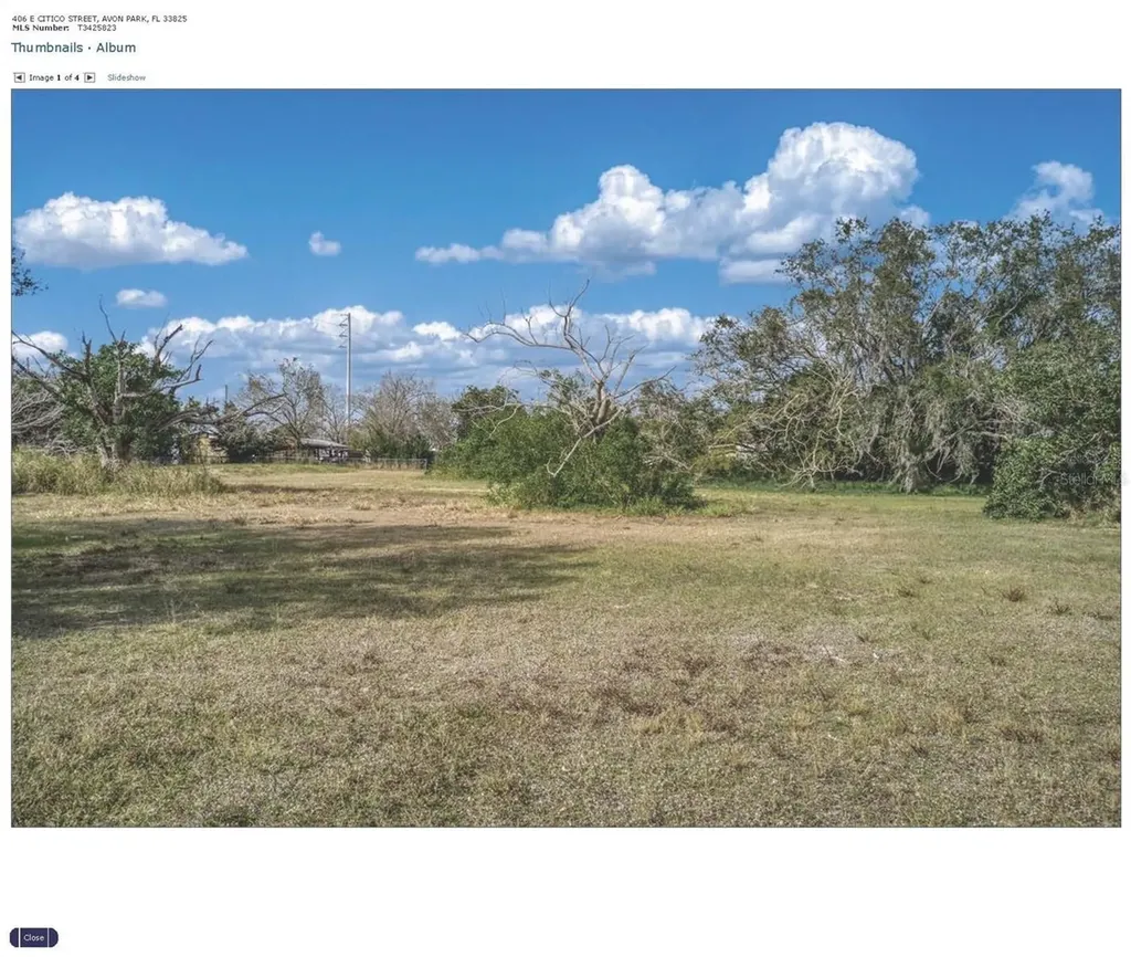 406 E Citico Street Avon Park FL 33825