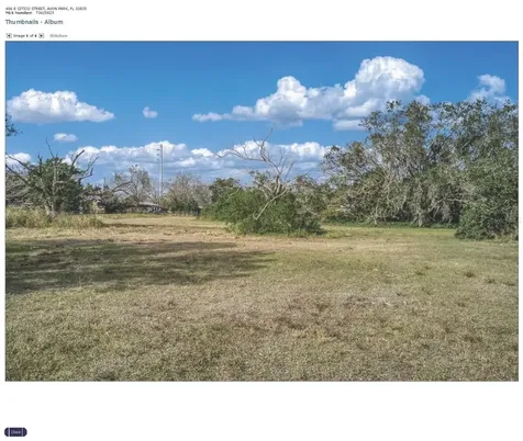 406 E Citico Street Avon Park FL 33825