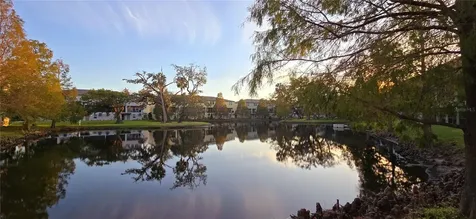 607 Wheaton Trent Place Tampa FL 33619