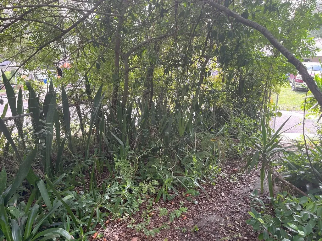 1874 Douglas Avenue Clearwater FL 33755