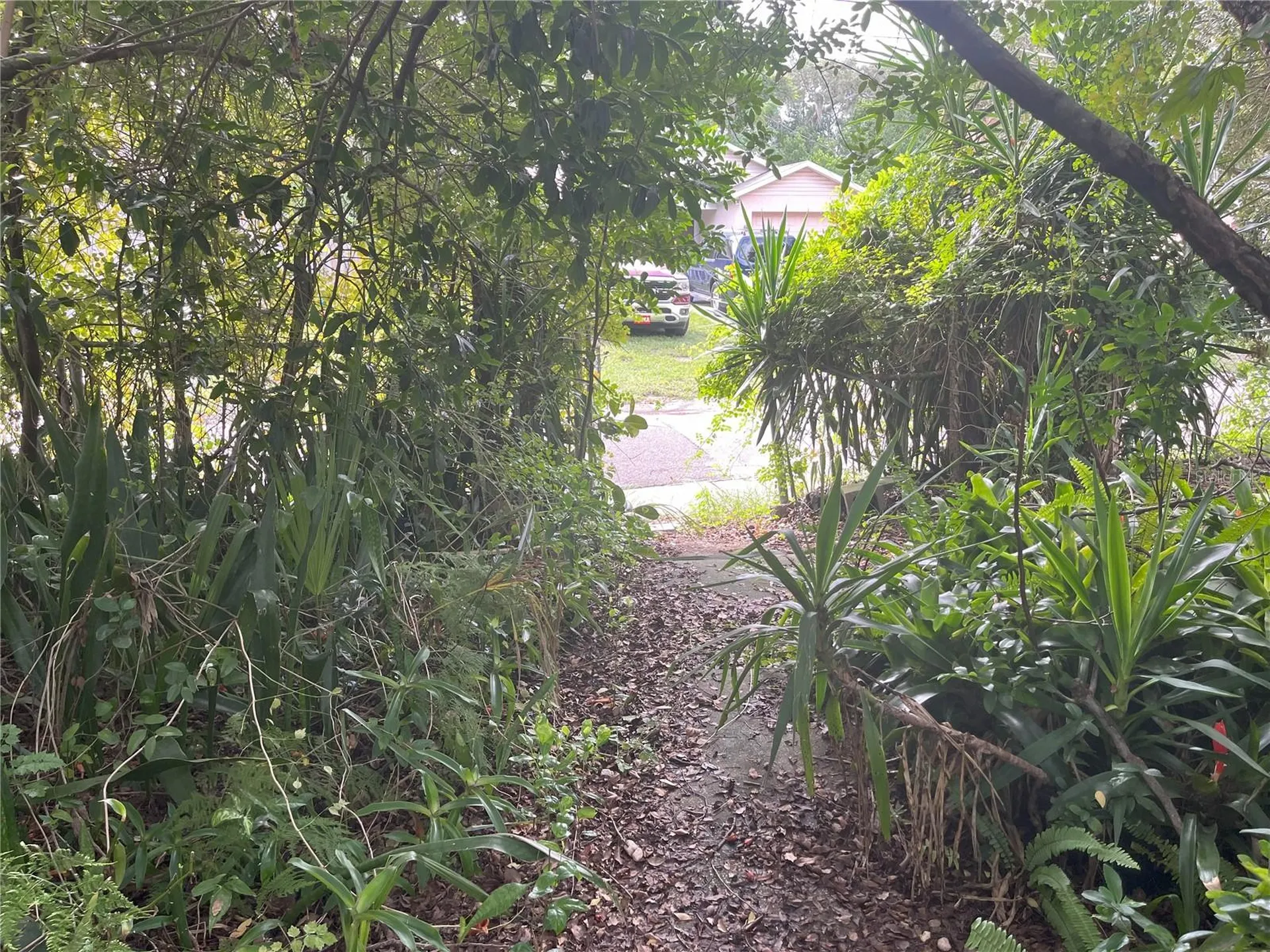 1874 Douglas Avenue Clearwater FL 33755