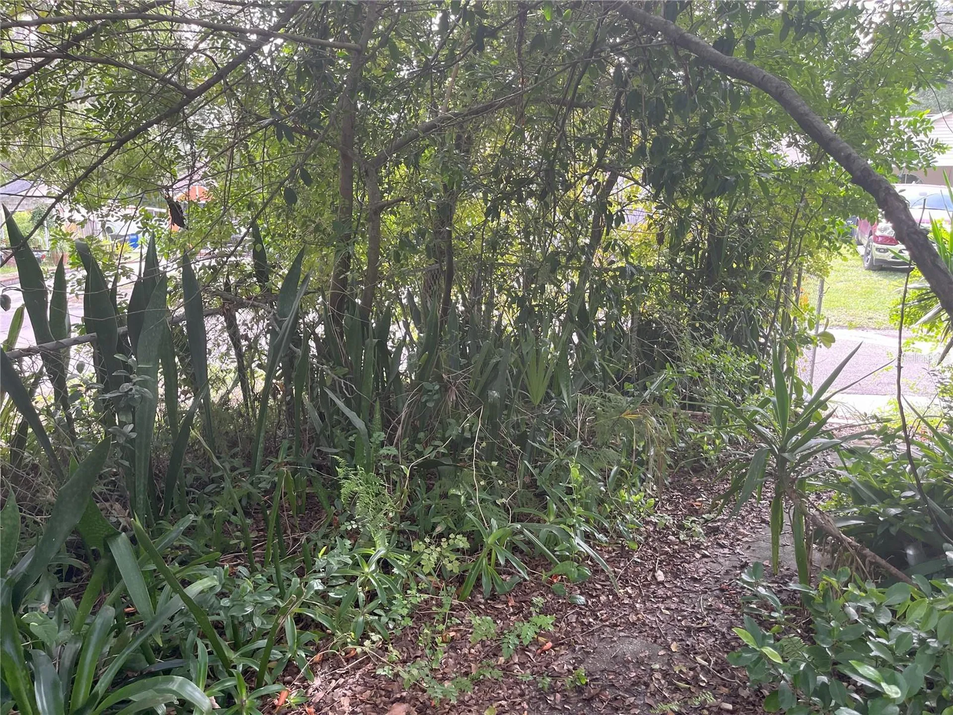 1874 Douglas Avenue Clearwater FL 33755