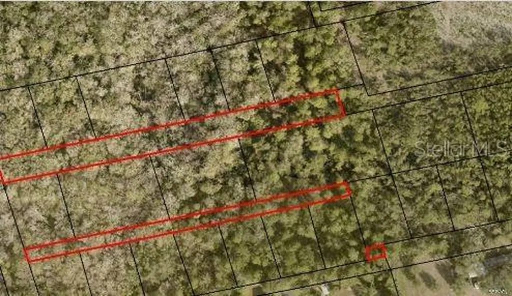 2313 Us Highway 1 Mims FL 32754