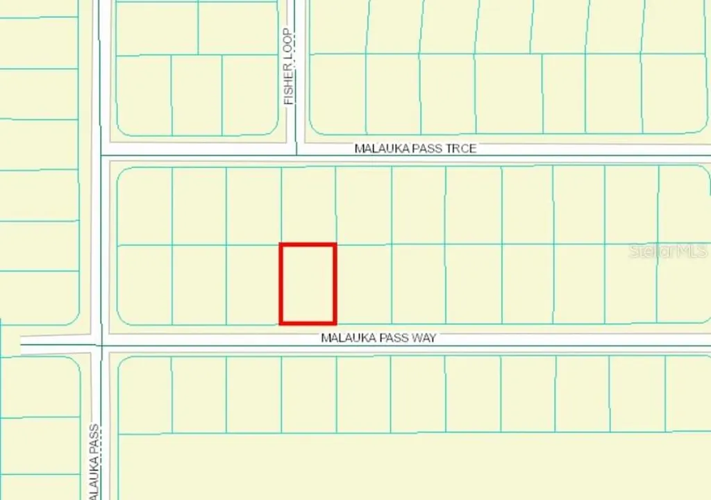 0 Malauka Pass Way Ocklawaha FL 32179