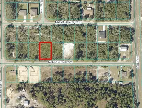 0 Malauka Pass Way Ocklawaha FL 32179
