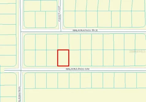 0 Malauka Pass Way Ocklawaha FL 32179