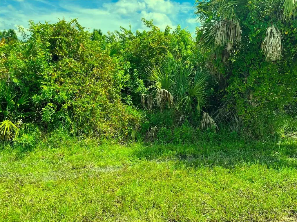 6148 Carlson Street Port Charlotte FL 33981