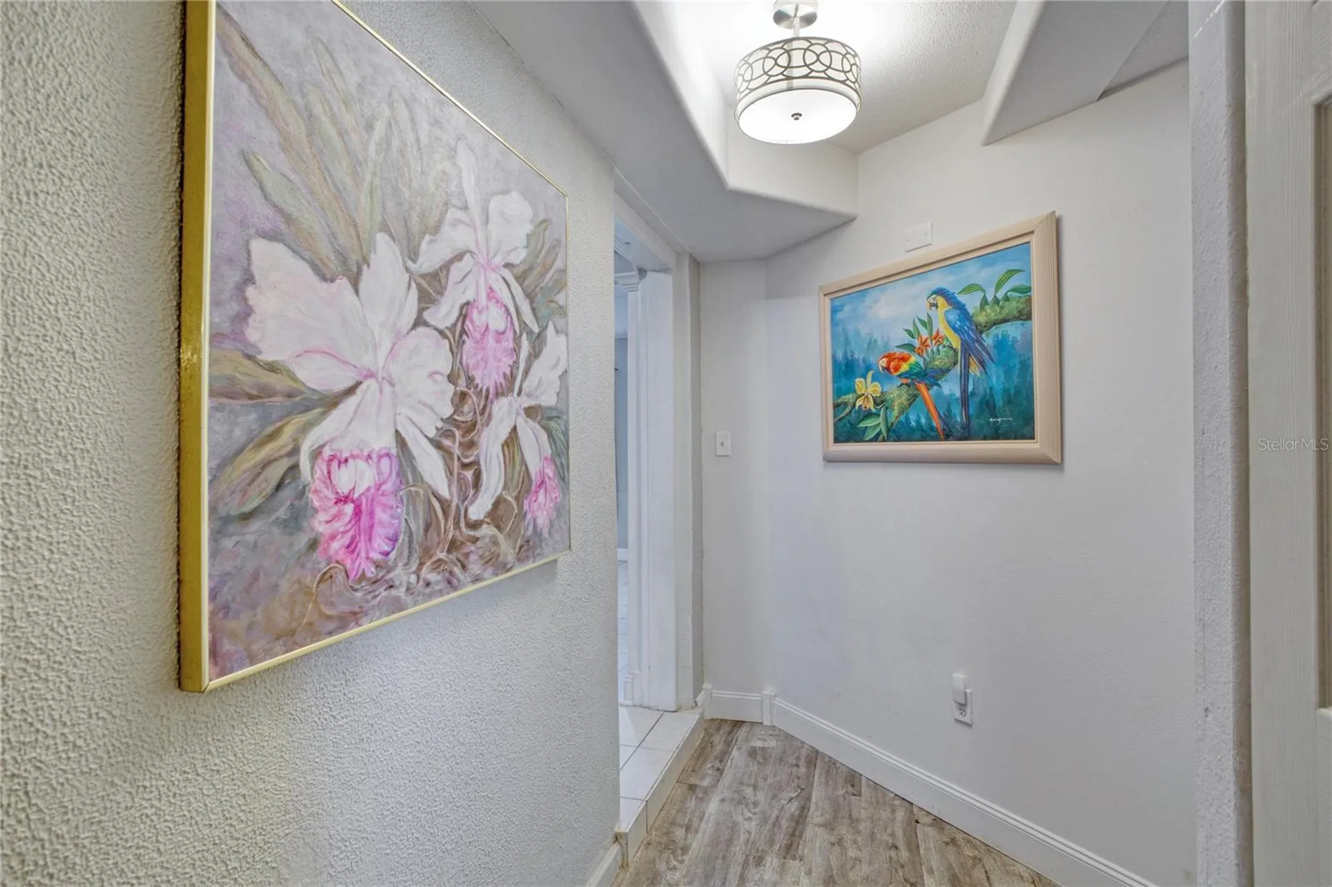 7329 Royal Palm Drive New Port Richey FL 34652