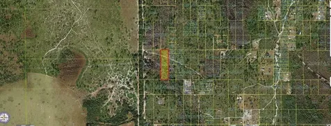 Holopaw Groves Road St Cloud FL 34773