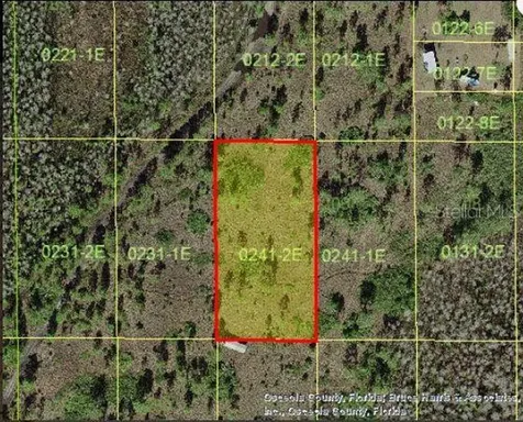 Holopaw Groves Road St Cloud FL 34773