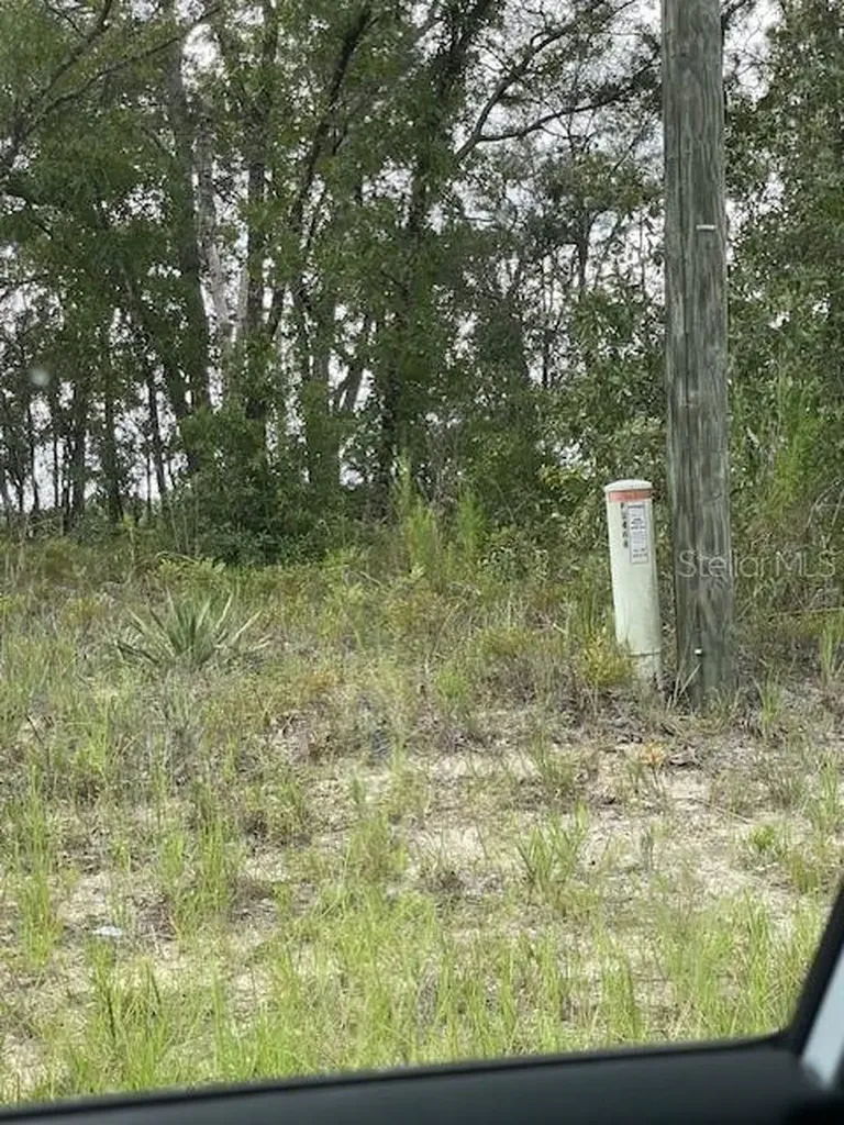 2466 W Rutland Drive Citrus Springs FL 34434