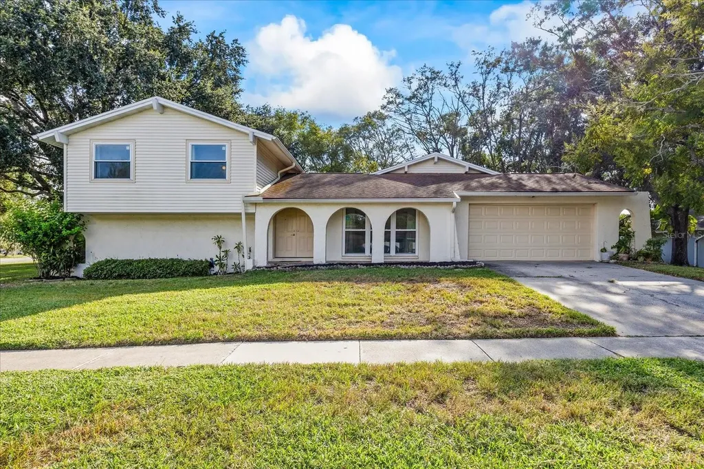 1115 Foggy Ridge Parkway Lutz FL 33559