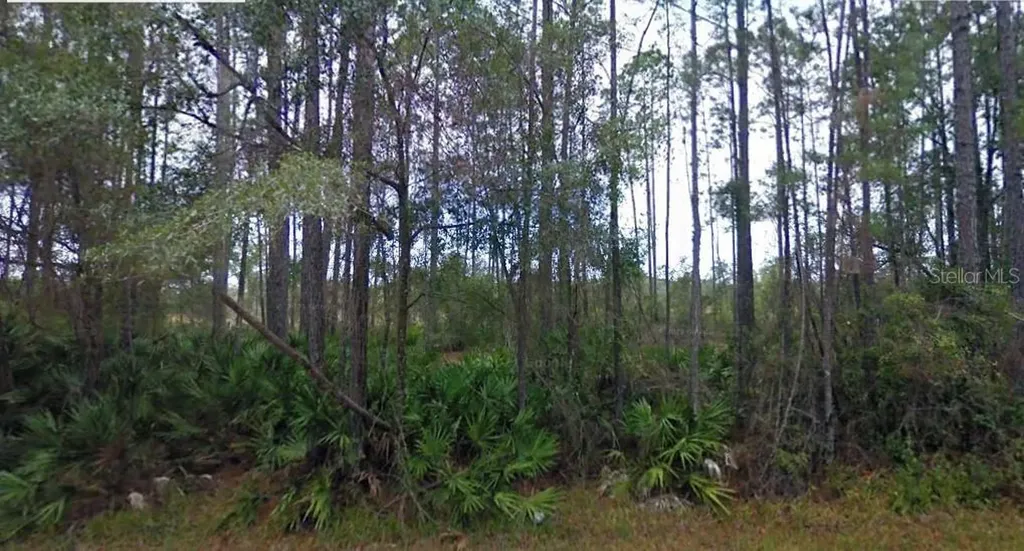NE 65th Avenue Citra FL 32113