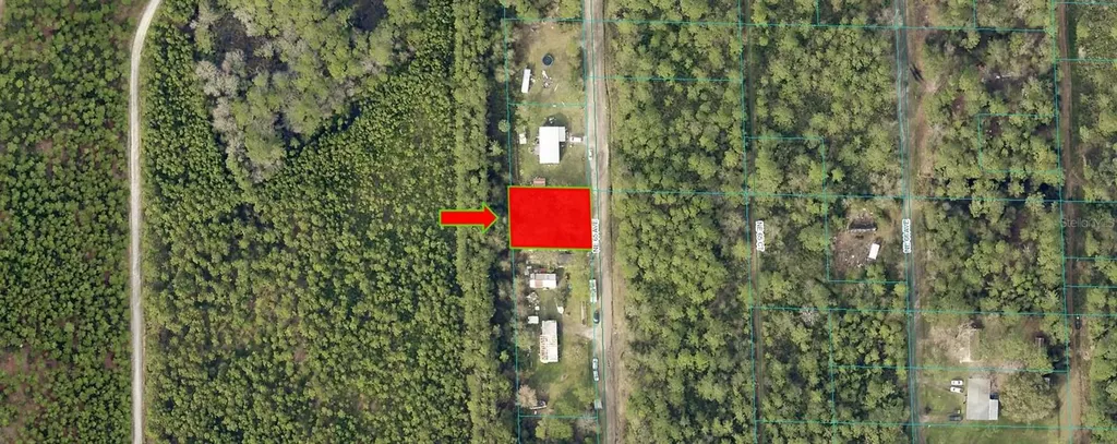 NE 65th Avenue Citra FL 32113