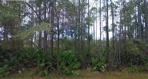 NE 65th Avenue Citra FL 32113