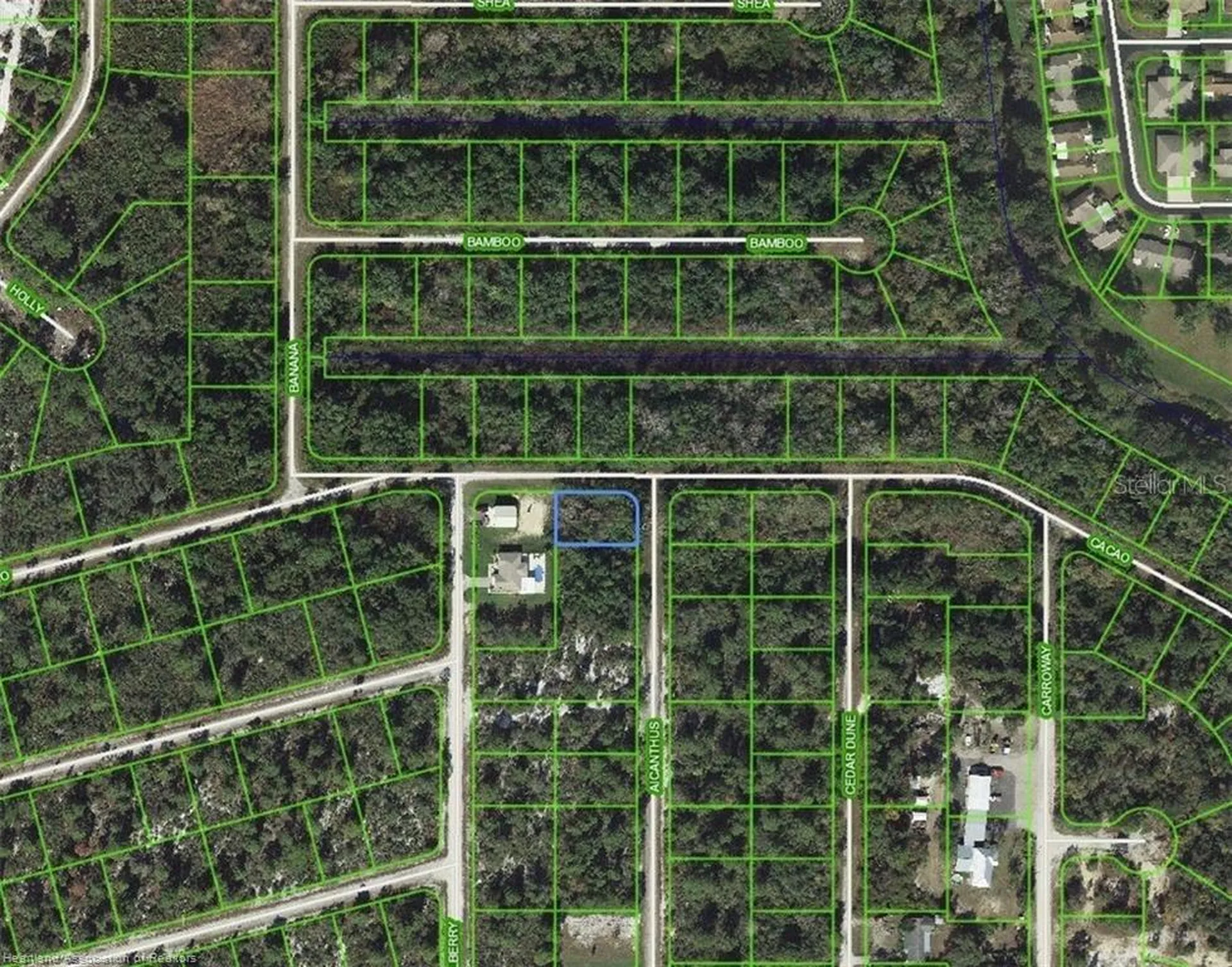 1218 Ailanthus Street Lake Placid FL 33852