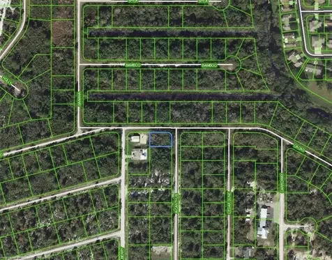1218 Ailanthus Street Lake Placid FL 33852