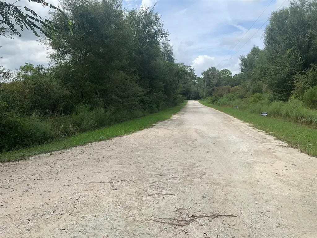 Chipstone Street Webster FL 33597