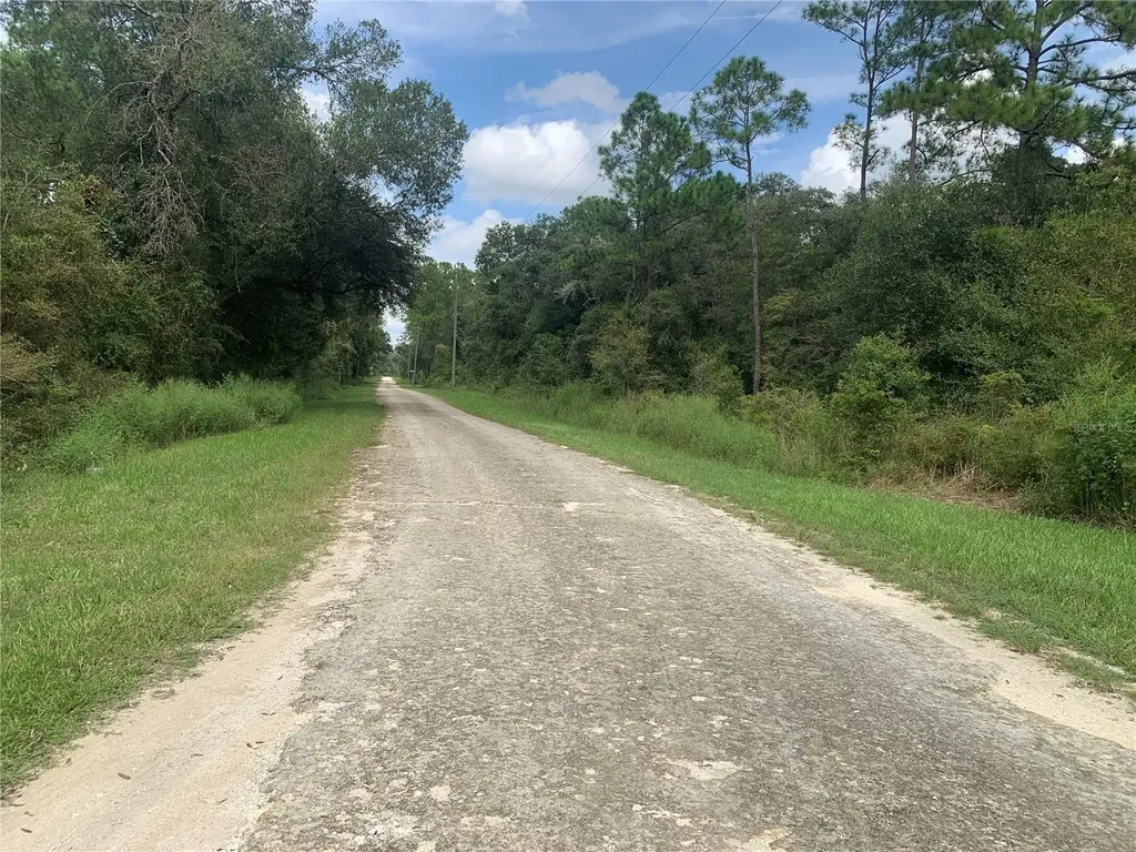 Chipstone Street Webster FL 33597