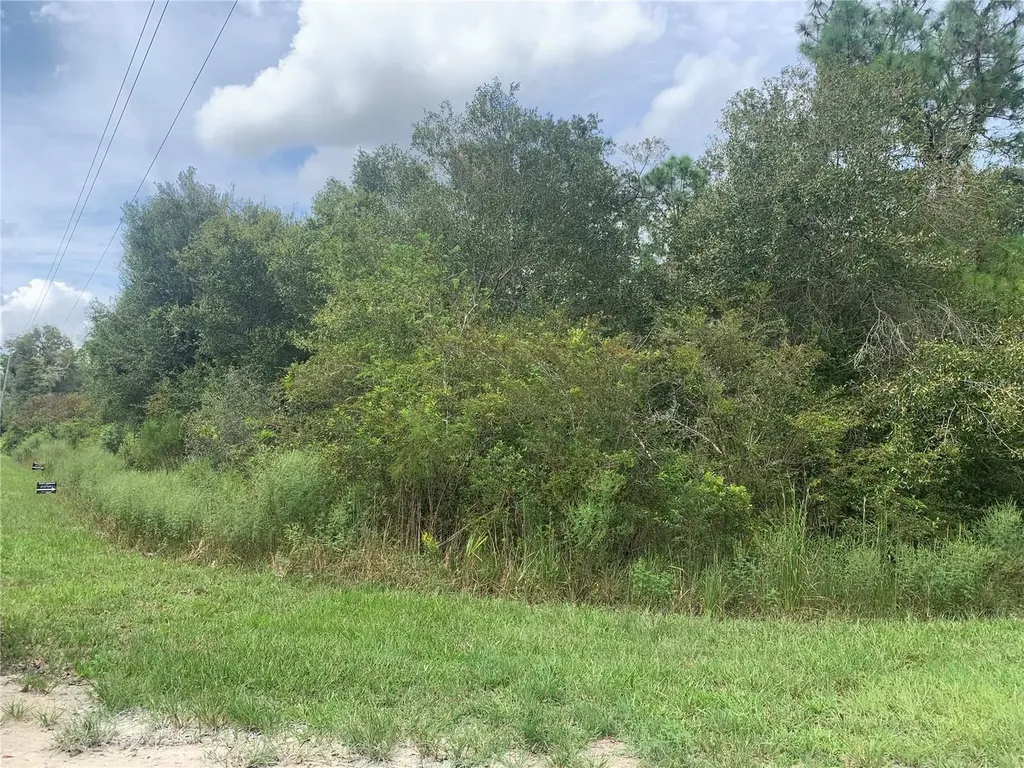Chipstone Street Webster FL 33597