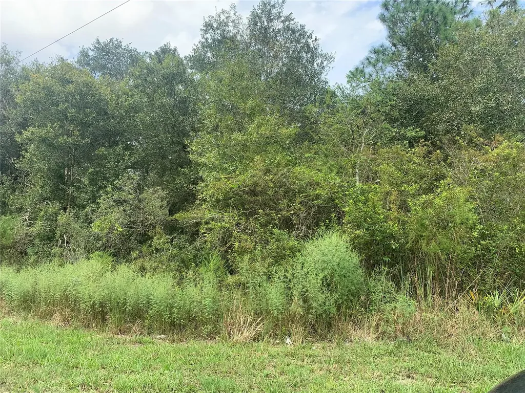 Chipstone Street Webster FL 33597