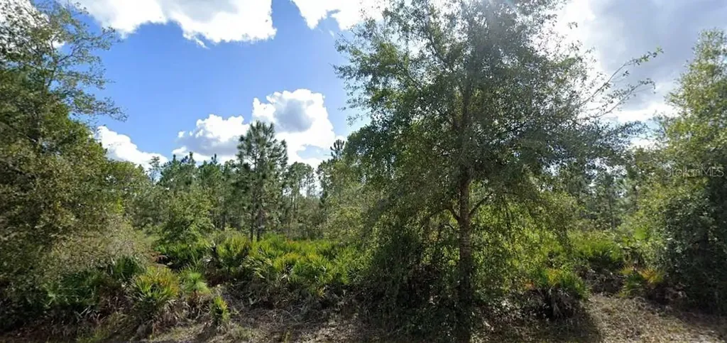 Alba Drive Indian Lake Estates FL 33855