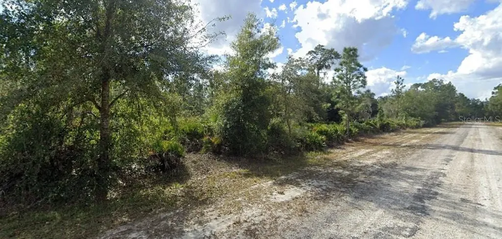 Alba Drive Indian Lake Estates FL 33855
