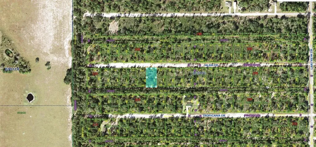 Alba Drive Indian Lake Estates FL 33855
