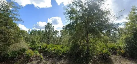 Alba Drive Indian Lake Estates FL 33855