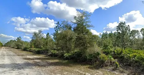 Alba Drive Indian Lake Estates FL 33855