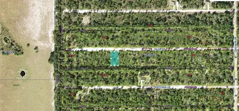 Alba Drive Indian Lake Estates FL 33855