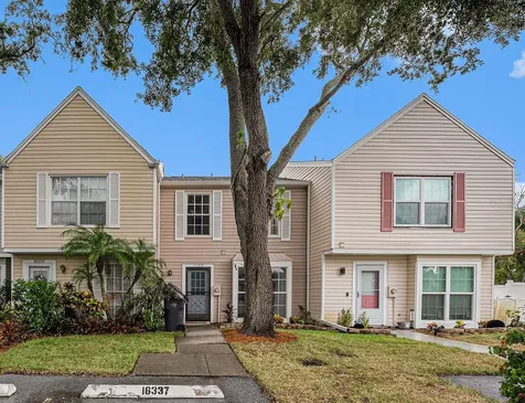 16337 Rambling Vine Drive W Tampa FL 33624