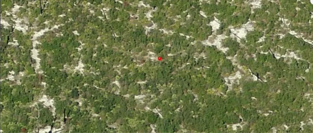 Holopaw Groves Road St Cloud FL 34773